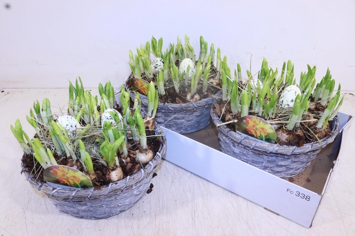 <h4>ARR N TETE A TETE</h4>