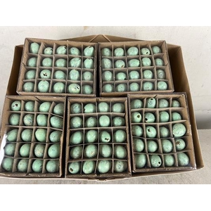 Egg Quail Turq, Box(60pcs)