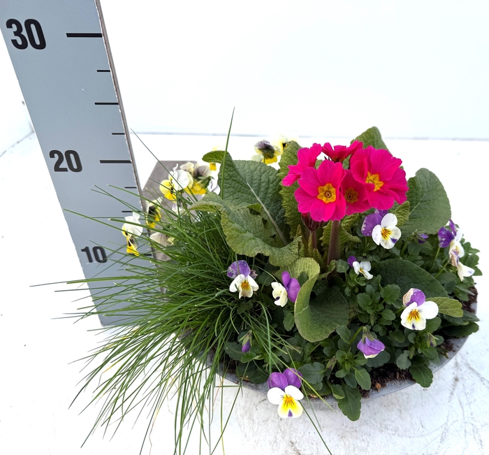 <h4>OVERIGE PERKPL</h4>