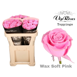 R Gr Wax Soft Pink