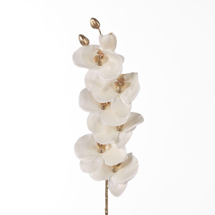 <h4>AF Phalaenop Metallic L80cm Wh</h4>