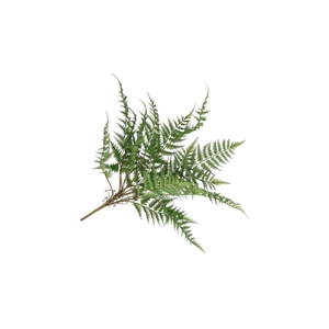 Silk Fern Dauallia Plant Green 87cm