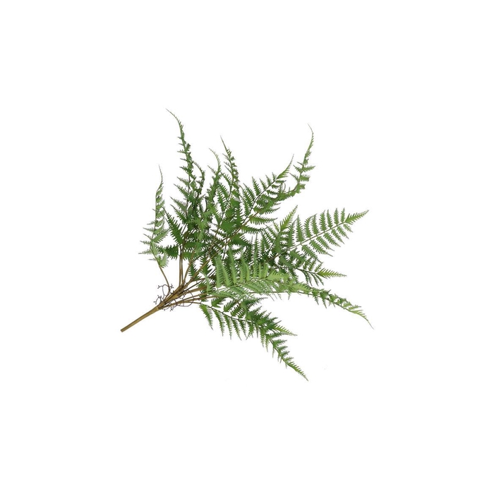 <h4>Silk Fern Dauallia Plant Green 87cm</h4>
