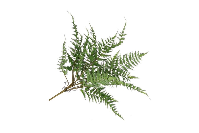 <h4>Silk Fern Dauallia Plant Green 87cm</h4>