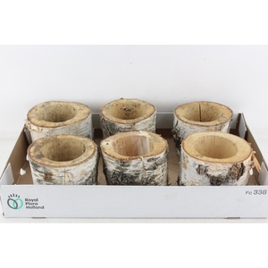 arr3 GB - Schors pot x6