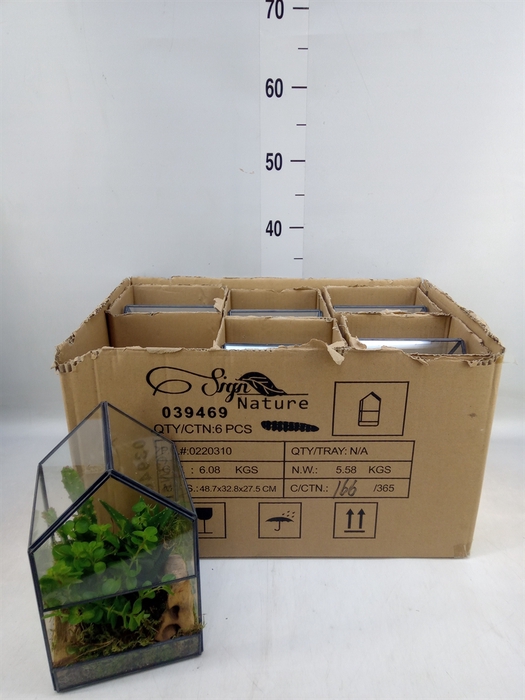 <h4>Arr.   Kamerplant Groen H%</h4>