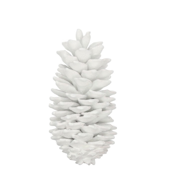 Pine cone Suger pine wax 35cm