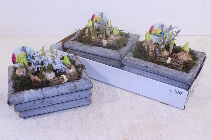 <h4>ARR BOL KNOLGEWAS</h4>