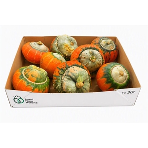 Sier Cuc P Turks Turban Mix X8
