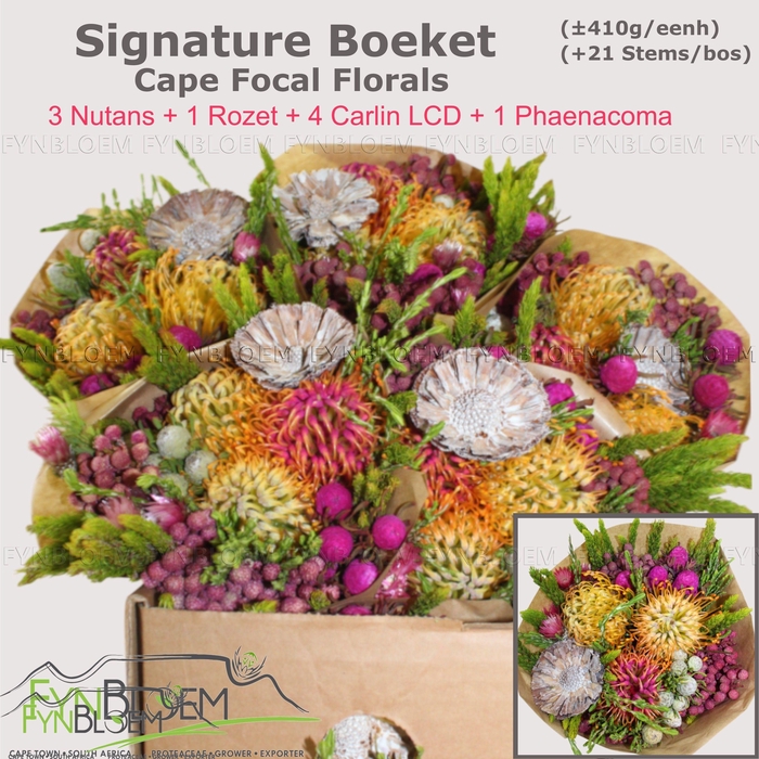 <h4>PROTEA PER BOS</h4>