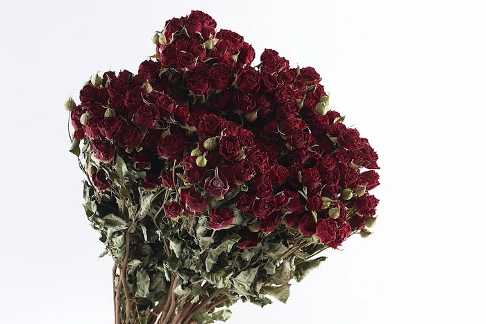 <h4>Roses Spray Red Dark Natural</h4>