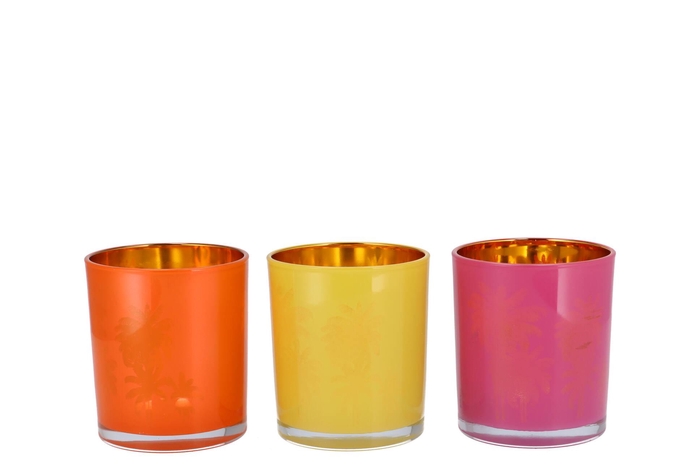 Hilly Dutch Orange Mix T-light Glass Ass 9x10cm Nm