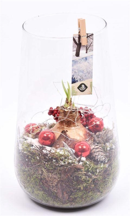 <h4>Glas cilinder 14x16cm</h4>