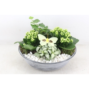 arr2 PL - Zink antiekschaal - wit