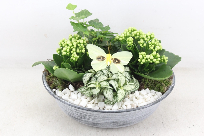 <h4>arr2 PL - Zink antiekschaal - wit</h4>