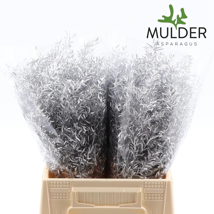 <h4>Asp Klb H% Cwebe Silver</h4>