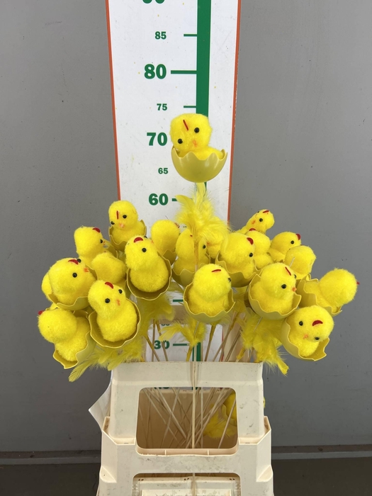 <h4>CHICKEN IN EGG  7 CM</h4>