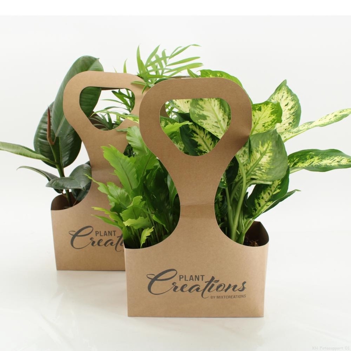 <h4>KAMERPL GEM OV</h4>