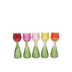 Bicolore Multi Color Mix Tulip Vase Ass 7x18cm Nm
