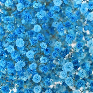 GYPS PA TINTED TURQUOISE Tessa