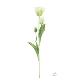 SILK FLOWERS - PARROT TULIP SPRAY SALLY CREAM 71CM
