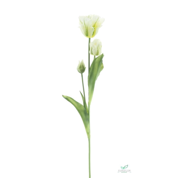 <h4>SILK FLOWERS - PARROT TULIP SPRAY SALLY CREAM 71CM</h4>