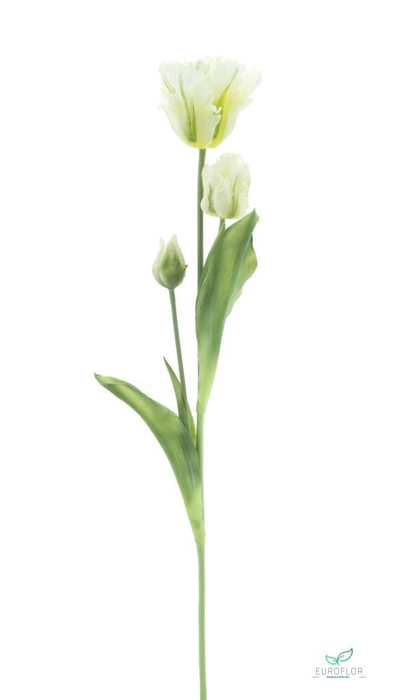 SILK FLOWERS - PARROT TULIP SPRAY SALLY CREAM 71CM