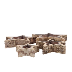 Nature Birch Planter Star S/4 20x6cm/30x7cm/40x8cm