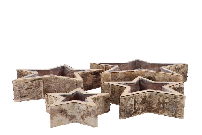 Nature Birch Planter Star S/4 20x6cm/30x7cm/40x8cm