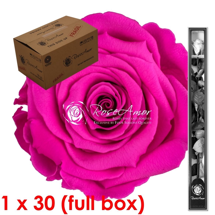 60cm Stem Pin07 Bulk