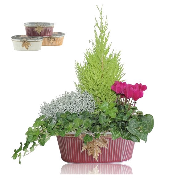 <h4>Collectie Autumn Leaf Arrangement in Zinken Schaal Ovaal 26 cm</h4>