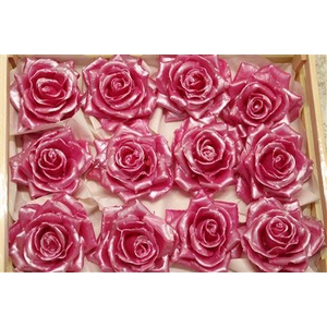 Wax Roos Pearl Cerise