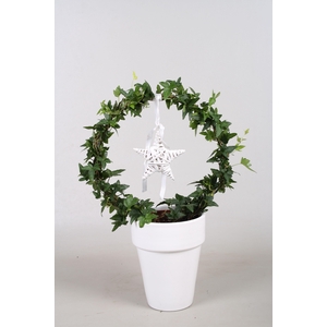 Hedera boog+ster in keramiek