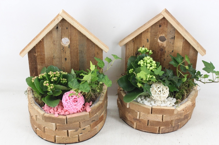 <h4>arr2 PL - Hout huisje half rond x6 - roze/wit</h4>