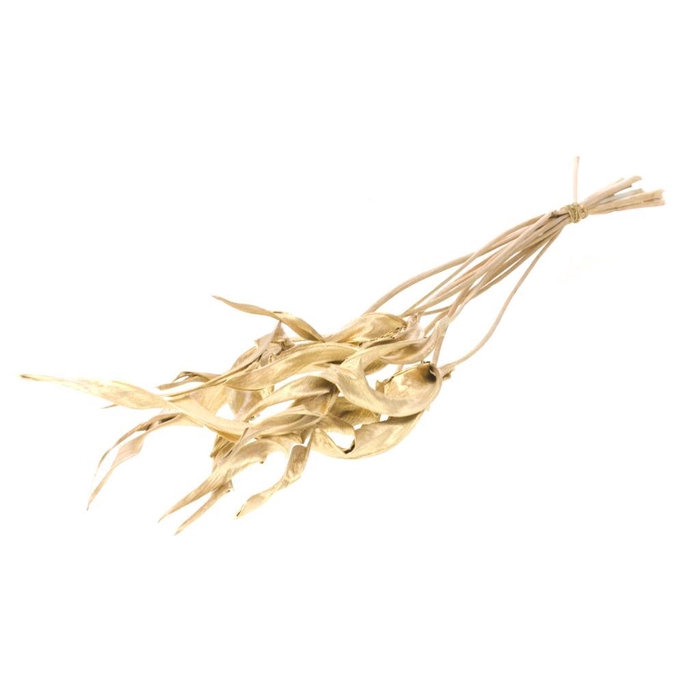 <h4>Strelitzia 10pc Gold</h4>