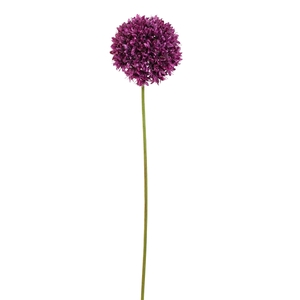 Allium Flower 89cm beauty