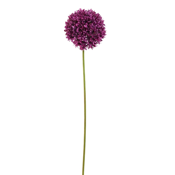 <h4>Allium Flower 89cm beauty</h4>