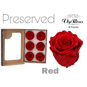 R Preserved Red