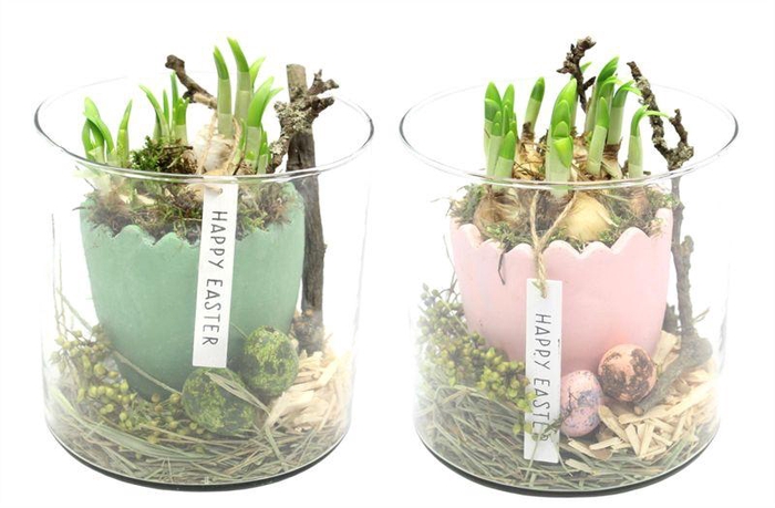 <h4>0110 CILINDER MET EI</h4>