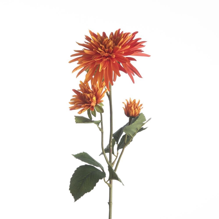<h4>AF Dahlia L71cm Orange</h4>