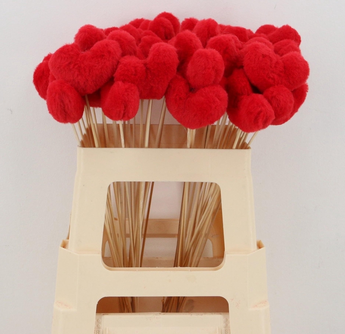 <h4>HUIS EN TUINDECO H%</h4>