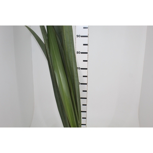 FOLHAGEM FIBRA 150 CM VERDE