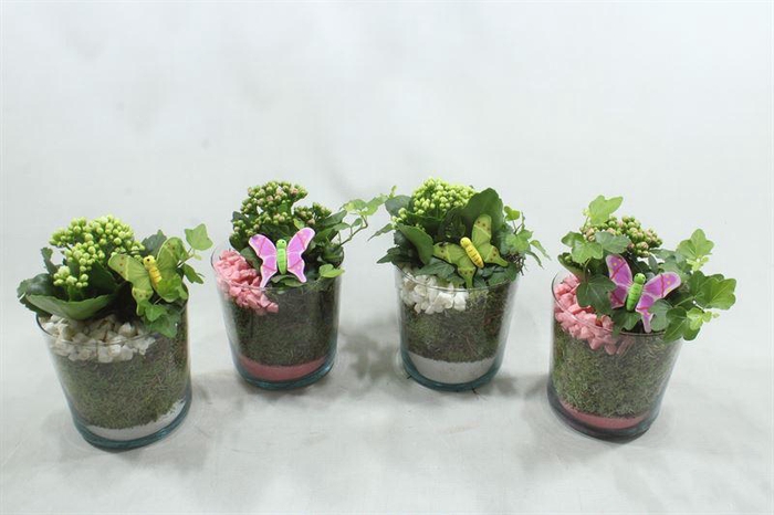 <h4>2593 POT ZWAAR ROZE/WIT</h4>