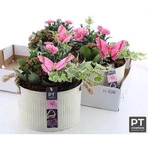 ARR TUINPLANTEN