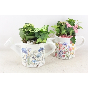 arr2 MB - Ker. gieter flower pink/bleu 338/6