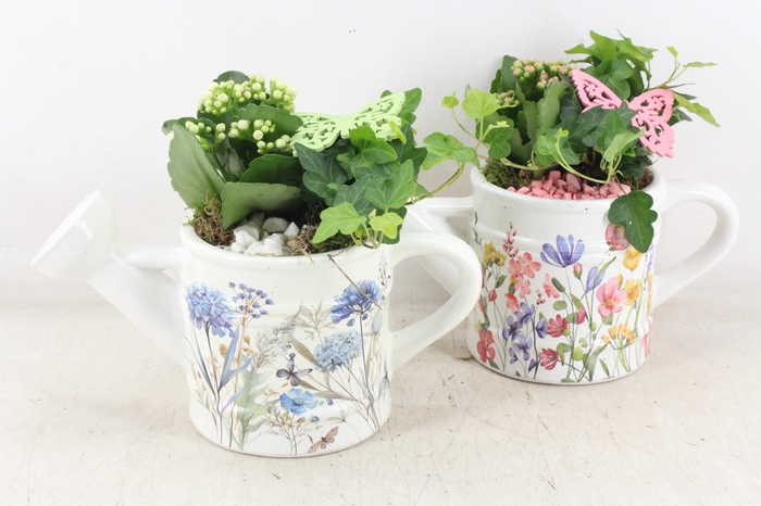 <h4>arr2 MB - Ker. gieter flower pink/bleu 338/6</h4>