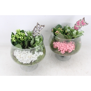 arr2 PL - Glas op voet - roze/wit