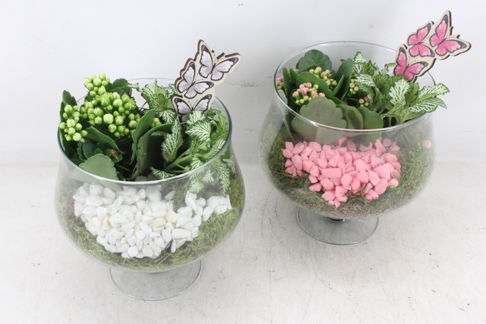 <h4>arr2 PL - Glas op voet - roze/wit</h4>