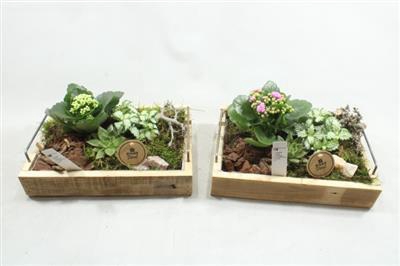 <h4>3121 IND HOUT RH</h4>