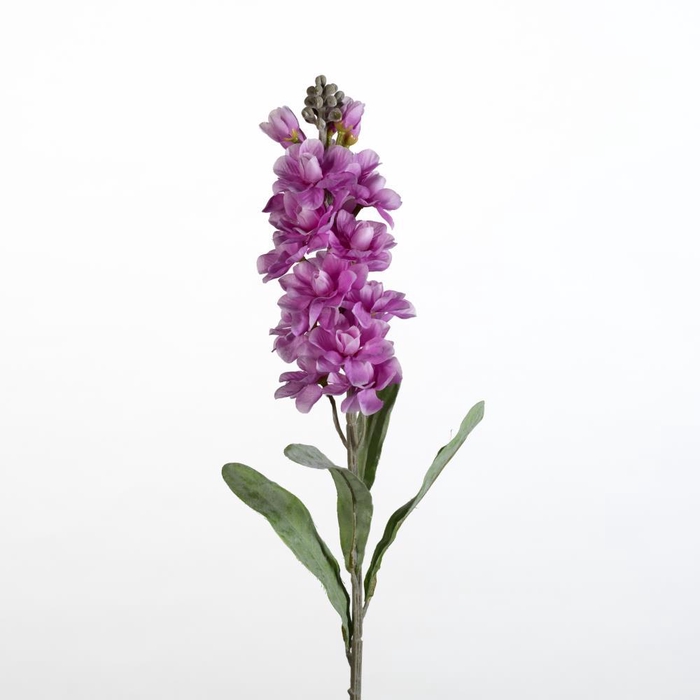 <h4>AF Matthiola L78cm lavender</h4>